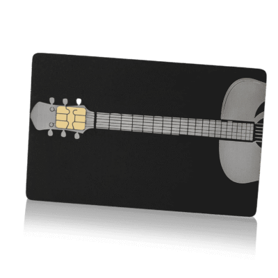 Acoustic Guitar