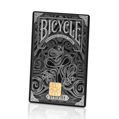 Vintage black and silver Lion Card featuring intricate details, a secure chip, perfect for collectible card enthusiasts and card-based games or loyalty programs.