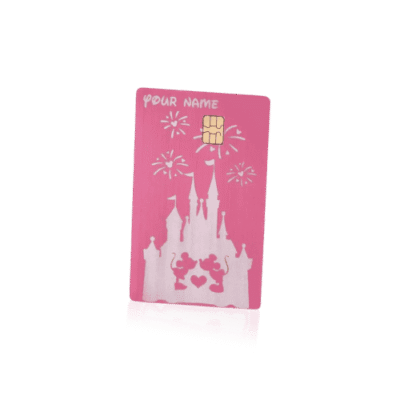 Disney Castle